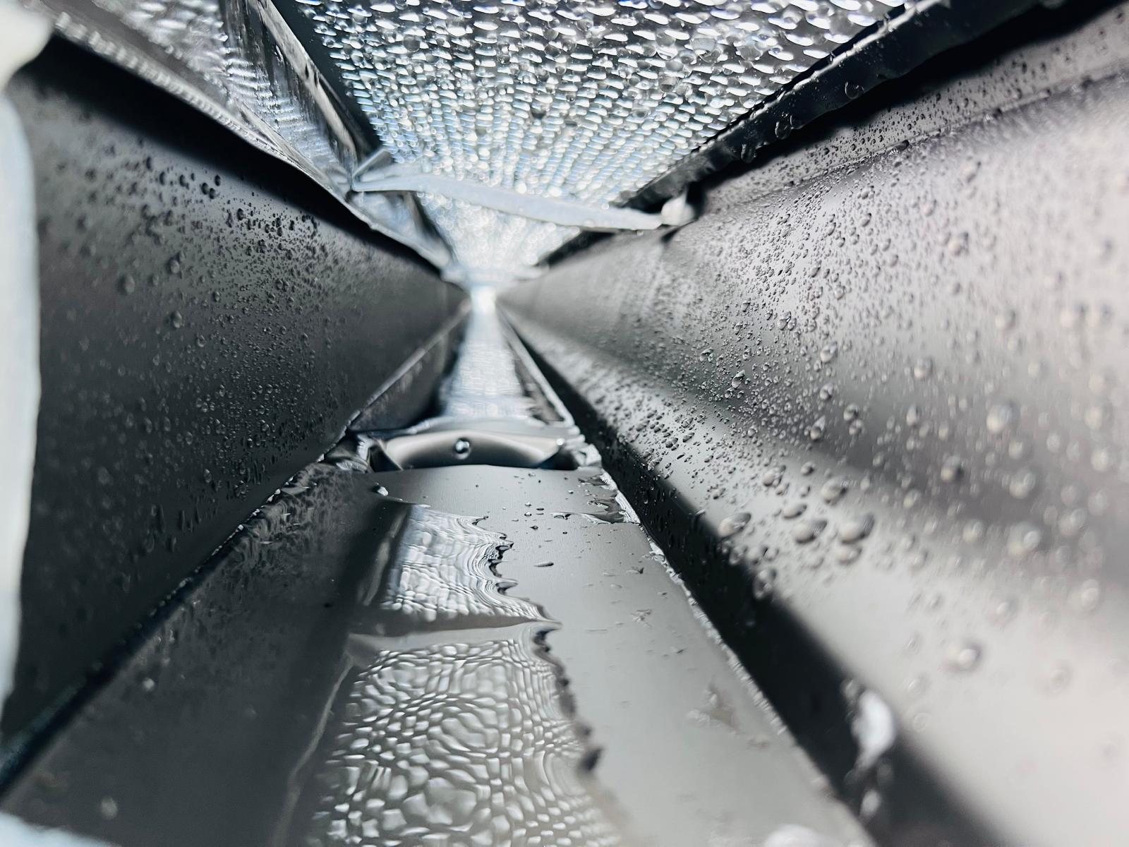 Inside view of a black seamless gutter with a perforated aluminum leaf guard overhead, water draining after rain